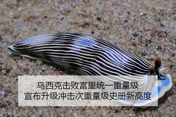 wu-xi-ke-ji-bai-fu-li-tong-yi-zhong-liang-ji-xuan-bu-sheng-ji-chong-ji-ci-zhong-liang-ji-shi-ce-xin-gao-du-2-618.jpg