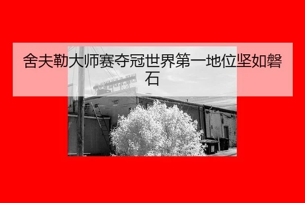 舍夫勒大师赛夺冠世界第一地位坚如磐石